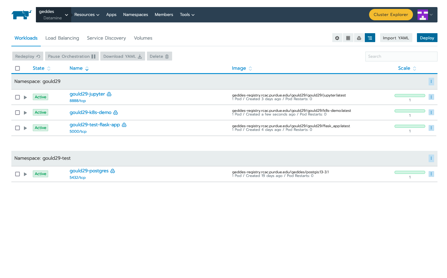 "Deployed workload of the demo application on Rancher.